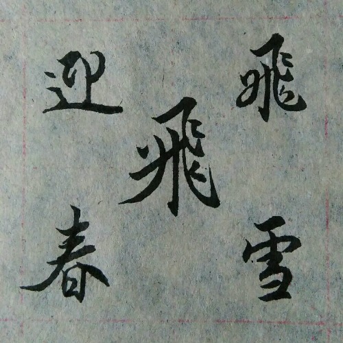 qq_pic_merged_1488189544702.jpg