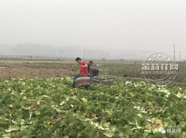 微信截图_20170305100816.png