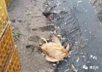 微信截图_20170306092733.png