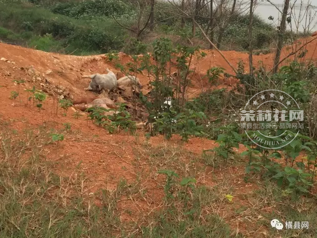 微信截图_20170307090227.png