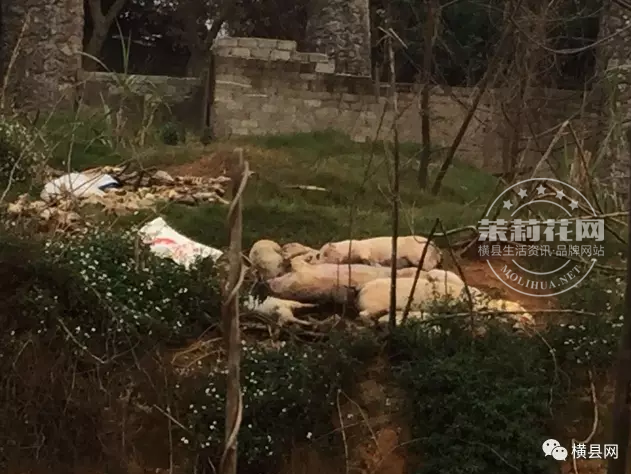微信截图_20170307090237.png