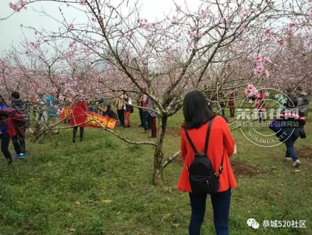 微信截图_20170307145516.png
