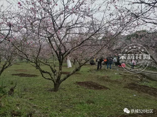 微信截图_20170307145533.png