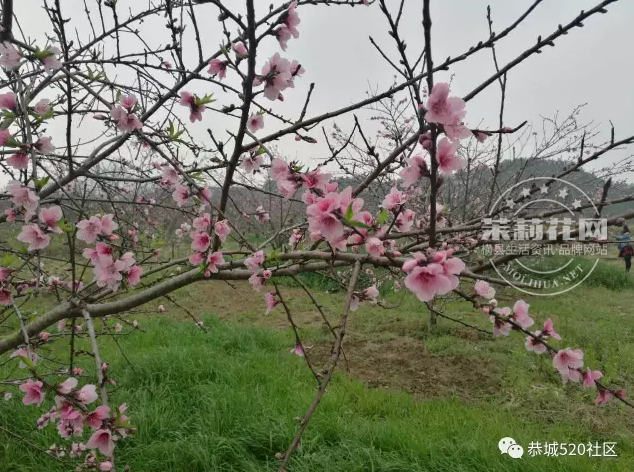 微信截图_20170307145540.png