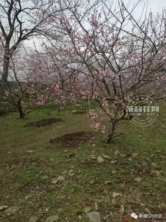 微信截图_20170307145548.png