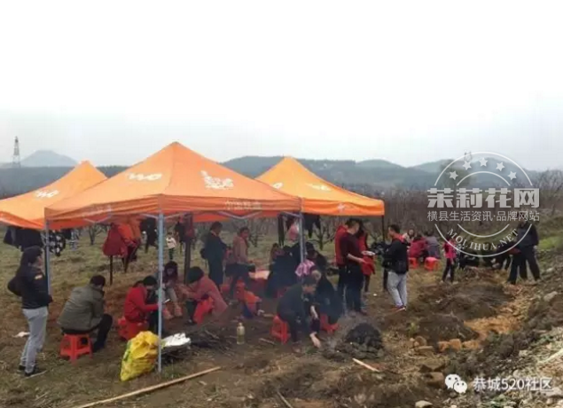 微信截图_20170307145656.png