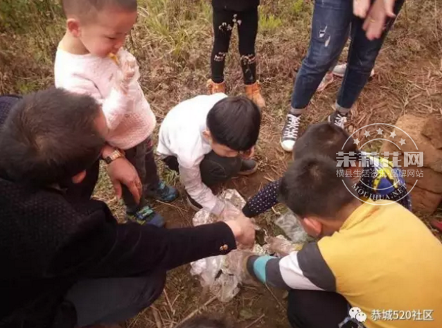 微信截图_20170307145812.png
