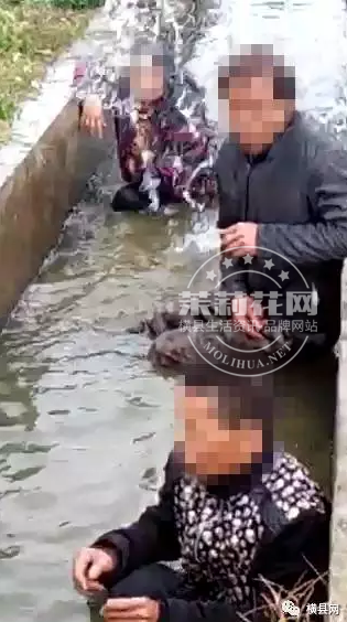 微信截图_20170309085107.png