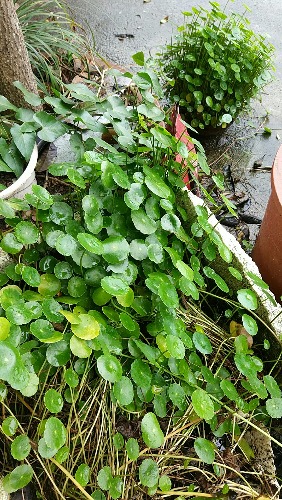 wx_camera_1489734685678.jpg