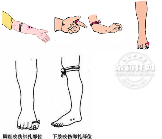 微信截图_20170407084934.png