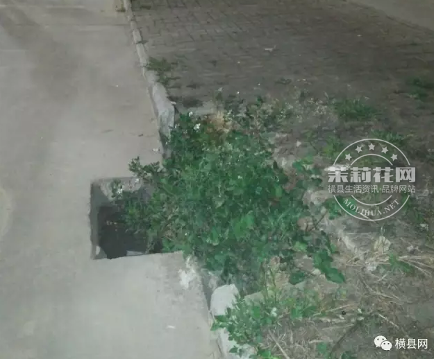 微信截图_20170411085309.png