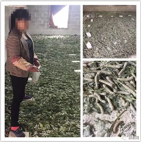 微信截图_20170413100816.png