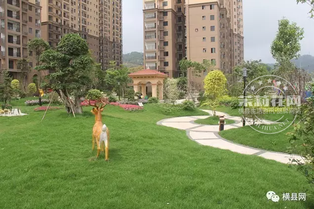 微信截图_20170417091330.png