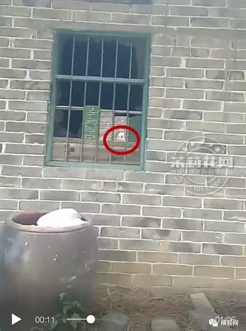 微信截图_20170418084807.png