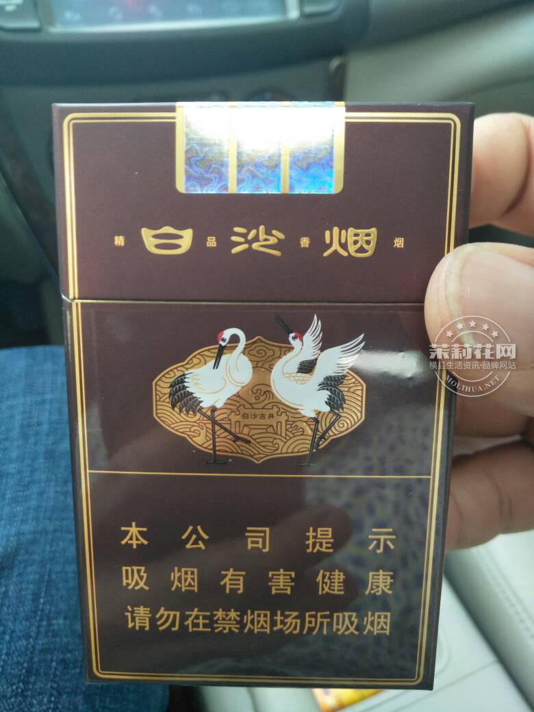 113108d4ggisjgljgsctbg.jpg