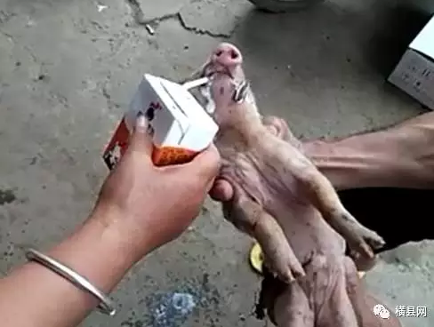 微信截图_20170504095813.png