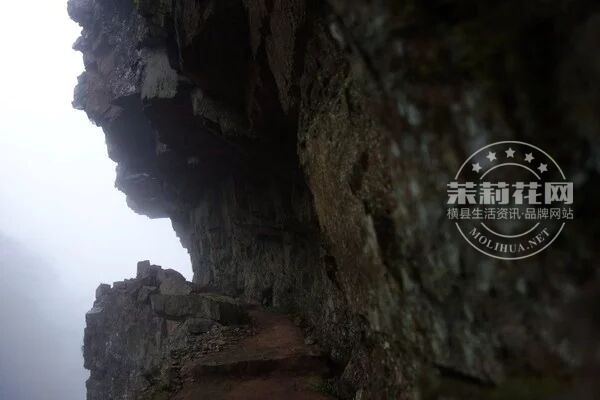 QQ图片20170504160324.jpg