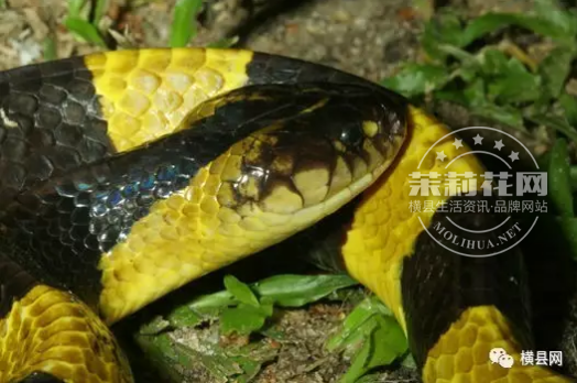 微信截图_20170515091257.png