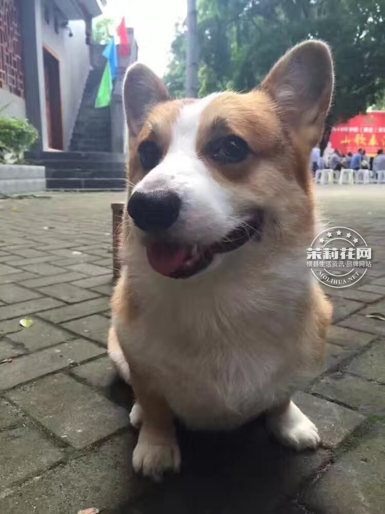 9.pic_hd.jpg