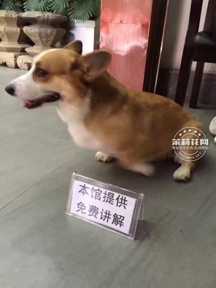 8.pic_hd.jpg