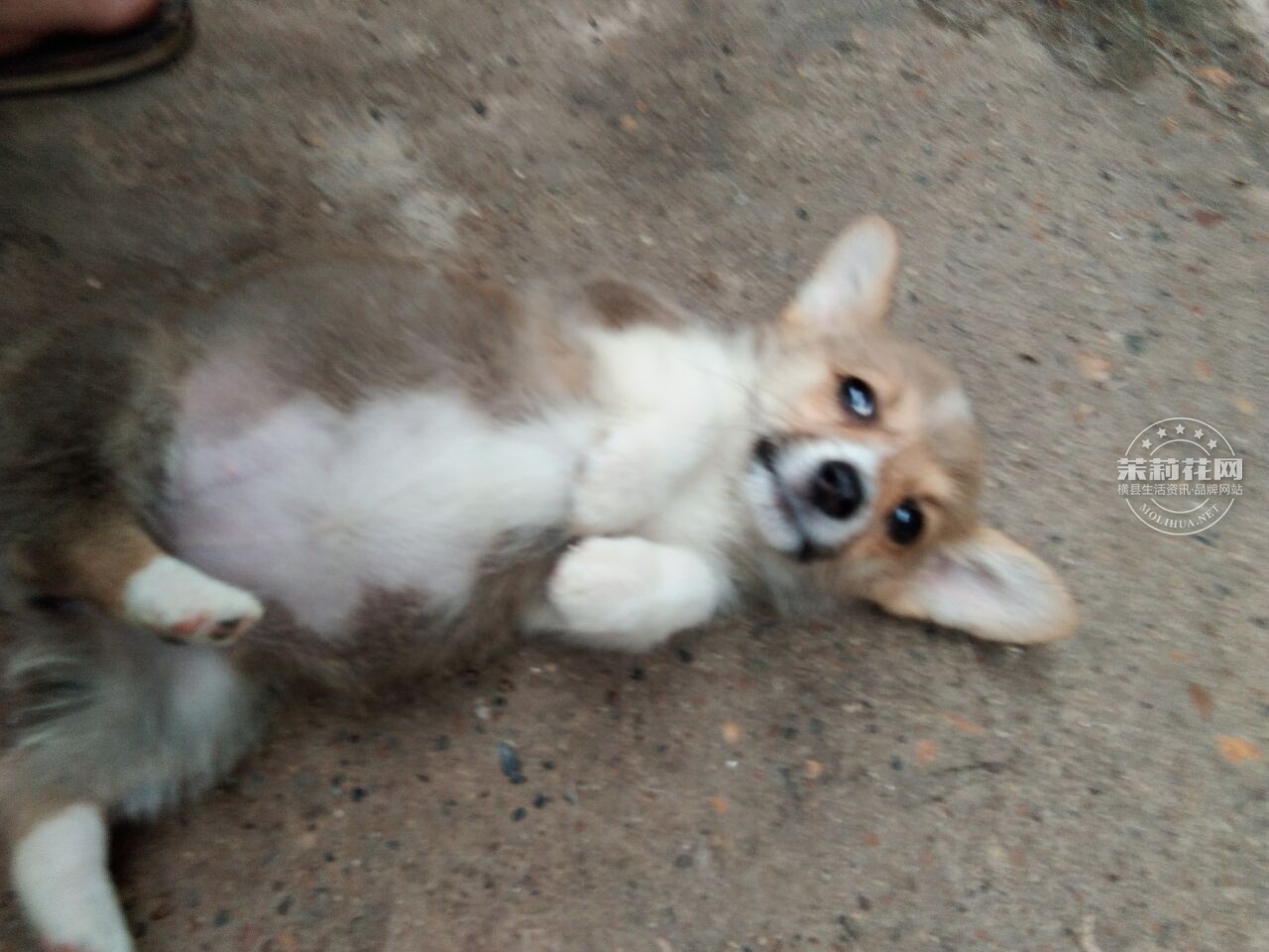 QQ图片20170516182130.jpg