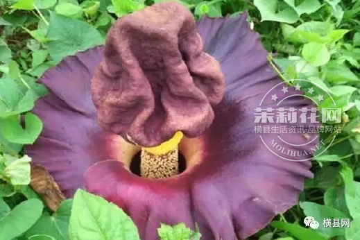 微信截图_20170518085630.png