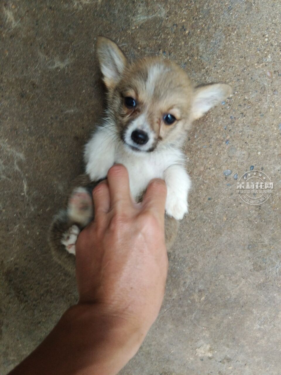 QQ图片20170423100502.jpg
