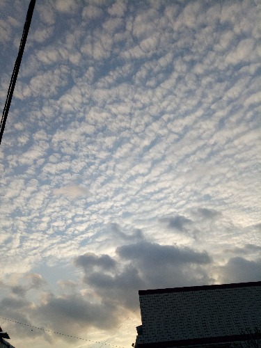 IMG20170427182438.jpg