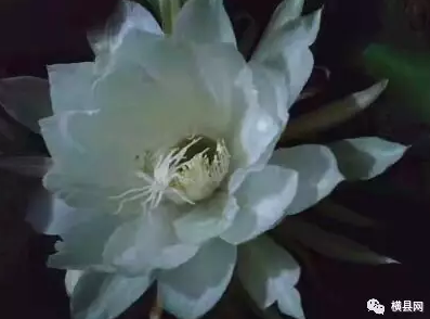 微信截图_20170531085257.png