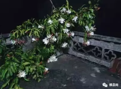 微信截图_20170531085317.png