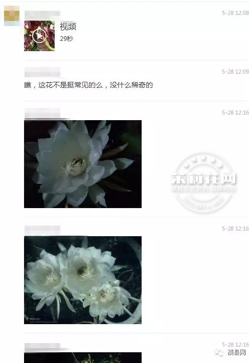 微信截图_20170531085401.png