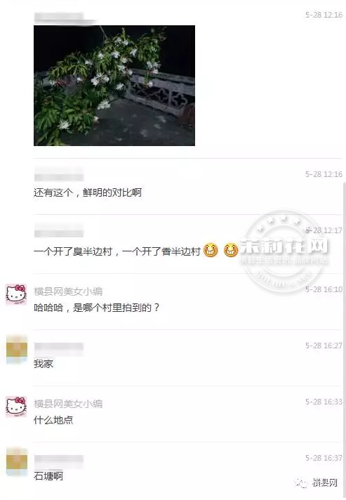 微信截图_20170531085411.png