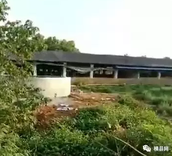 微信截图_20170601084451.png