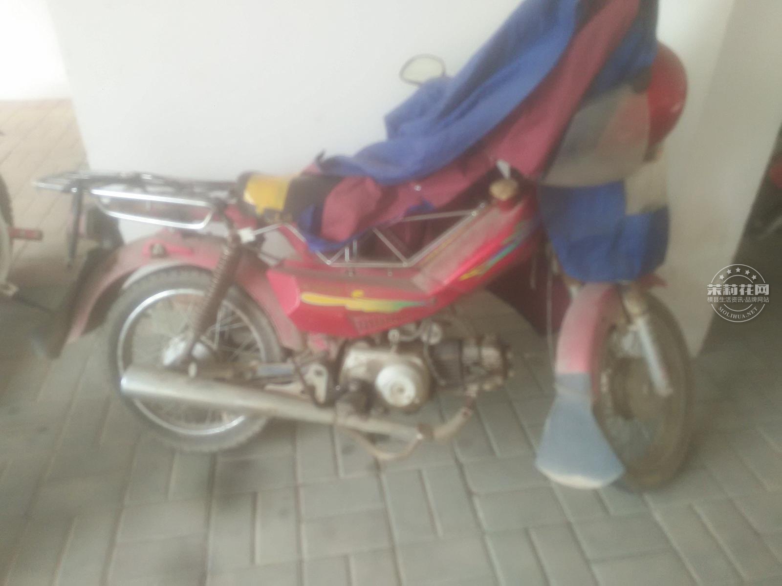 IMG201705939.jpg