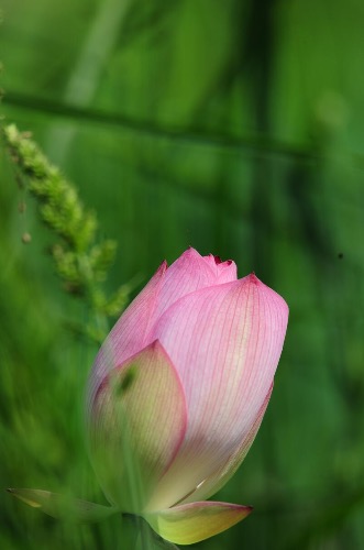 IMG_5474.JPG