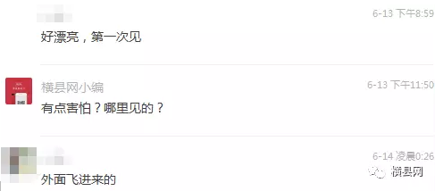微信截图_20170615090615.png