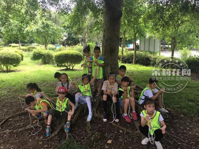 微信图片_20170625155348.jpg