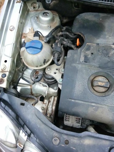 mmexport1498438005508.jpg