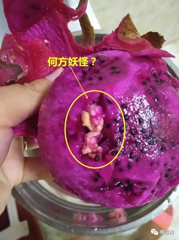 微信截图_20170713091350.png