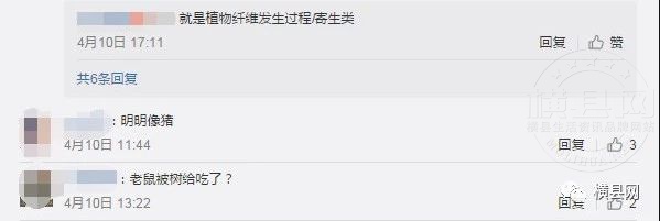 其他2.jpg