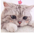 微信截图_20180515092546.png