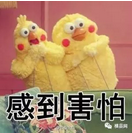 微信截图_20180521085221.png