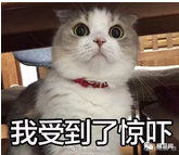 微信截图_20180528091150.png