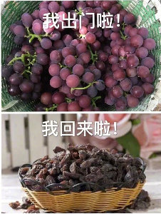 微信截图_20180528101758.png