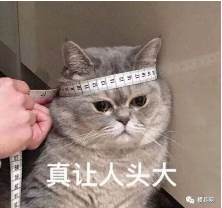 微信截图_20180604091219.png