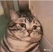 微信截图_20180614094827.png