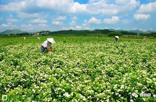 微信图片_20180718090610.jpg