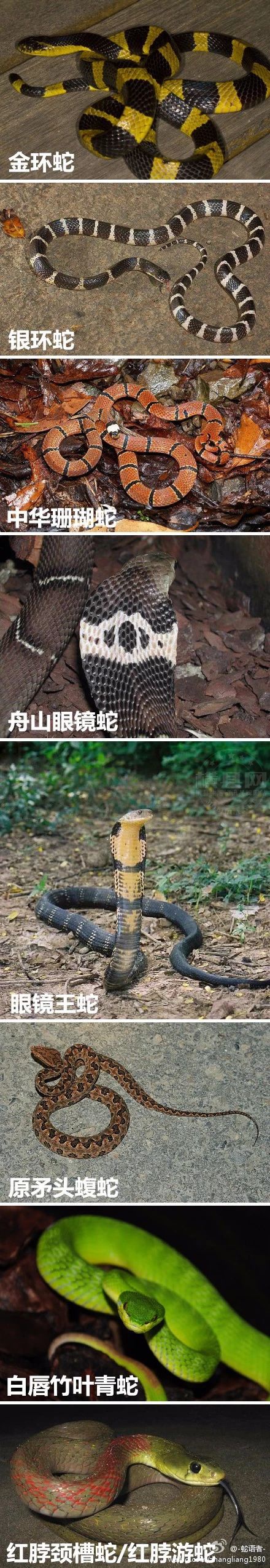 微信图片_20180718090652.jpg