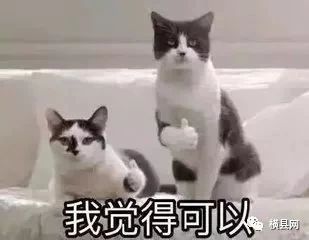 微信图片_20180718090717.jpg