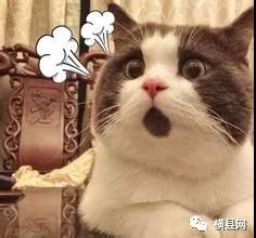 微信图片_20180718095245.jpg